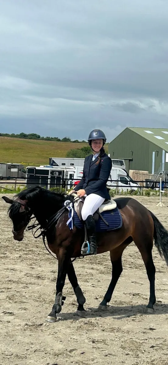 🌟 Super 148 SJI pony 🌟 - Image 1