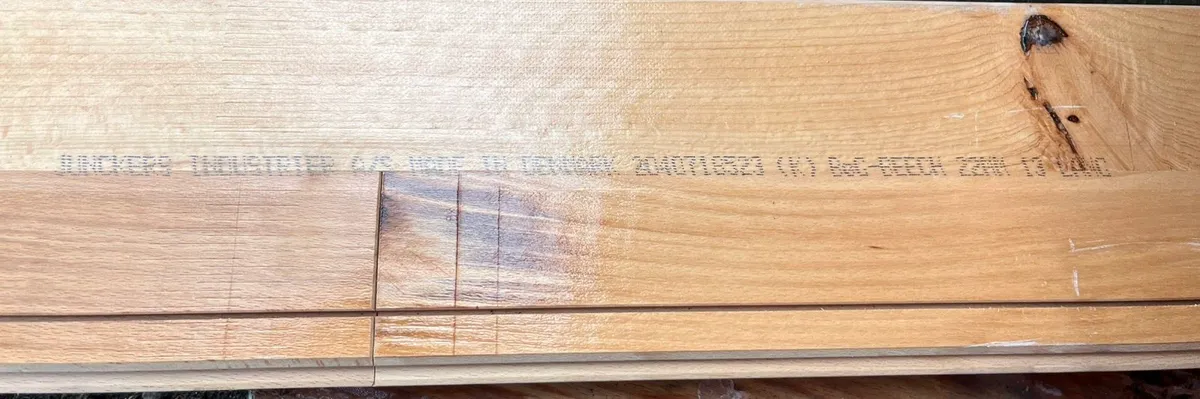 Junckers 22mm beech timber Flooring - Image 4