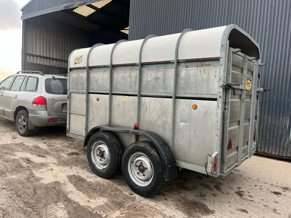 Murphy Livestock Trailer - Image 3