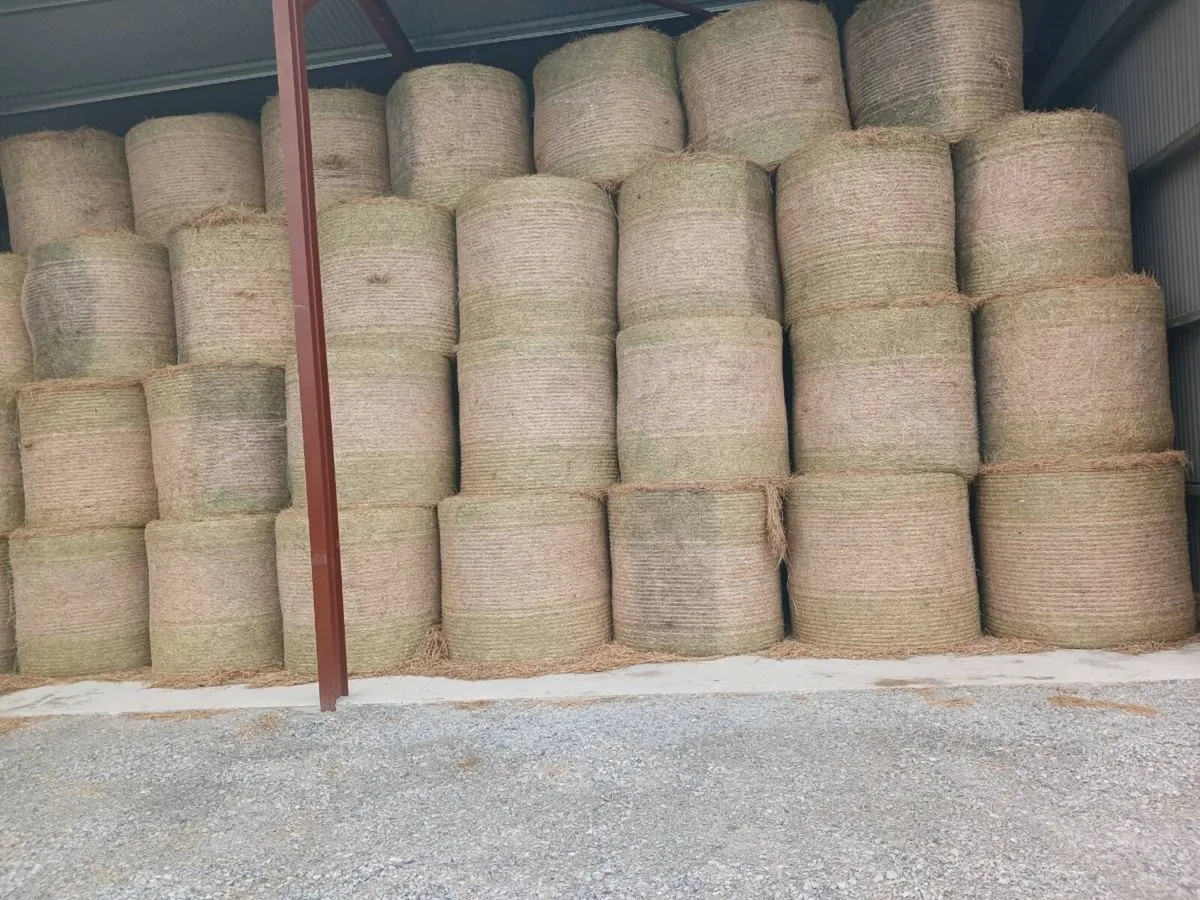 Hay - Image 2