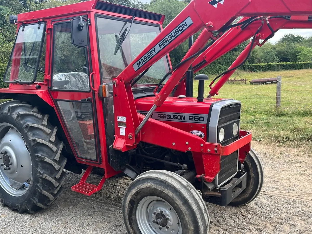 1984 Massey Ferguson 250 with 880 power loader - Image 1