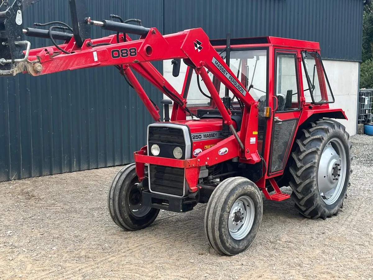 1984 Massey Ferguson 250 with 880 power loader - Image 2