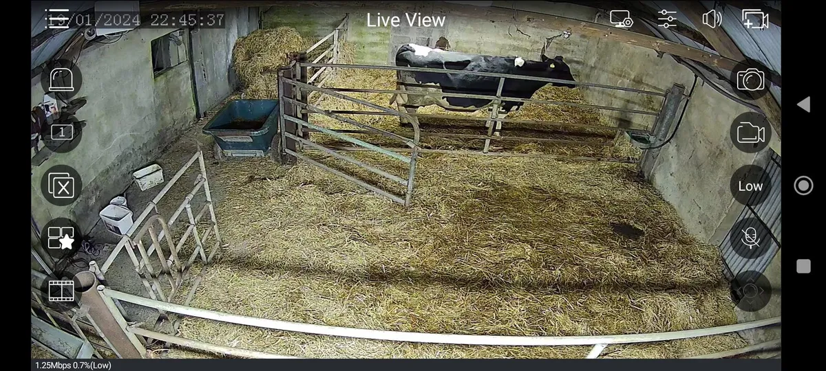 Calving cameras - Image 2