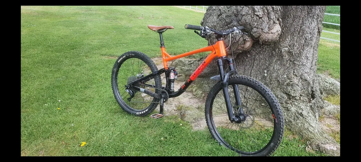 Marin hawk hill 3
