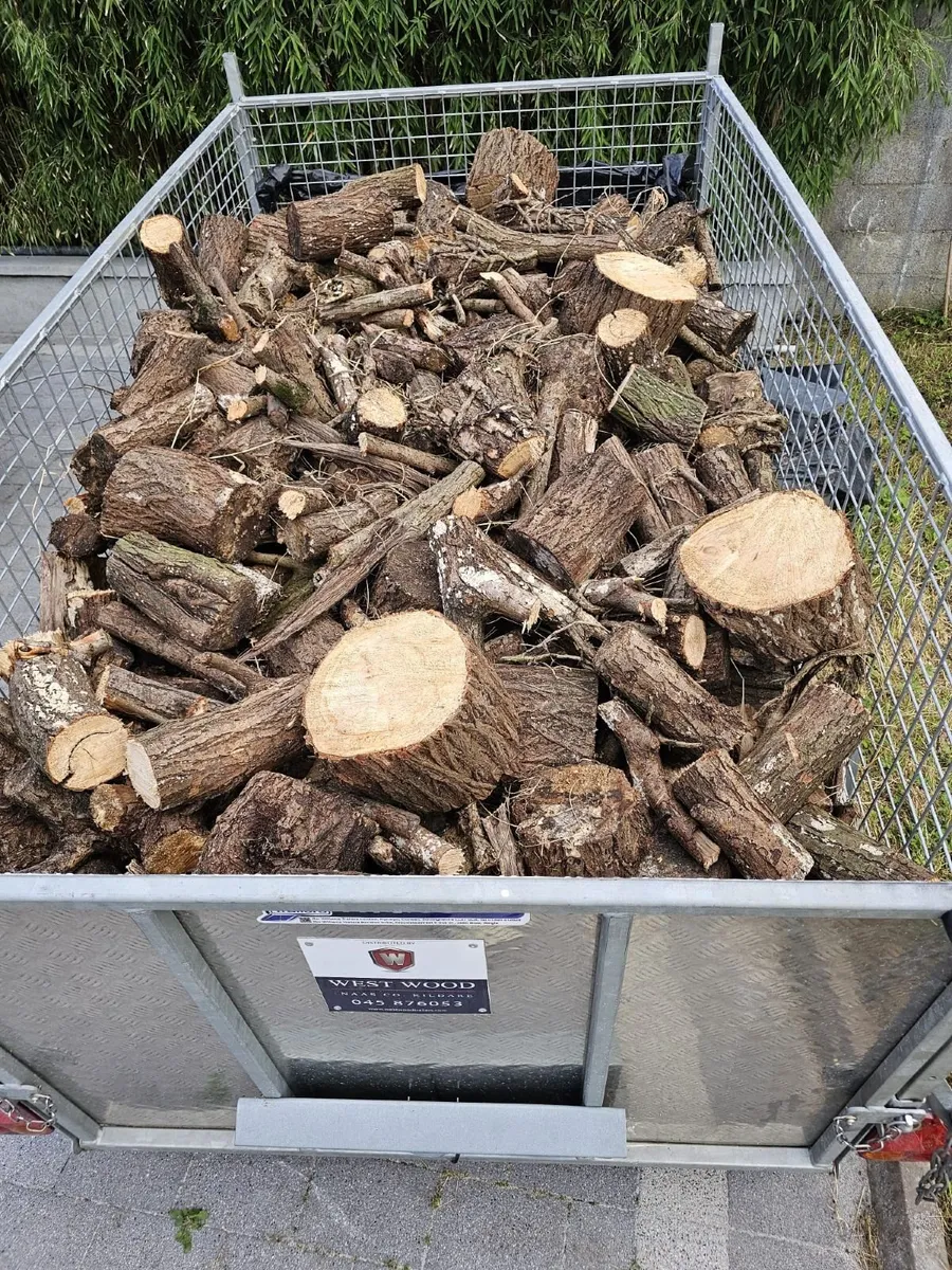 Firewood - Image 2
