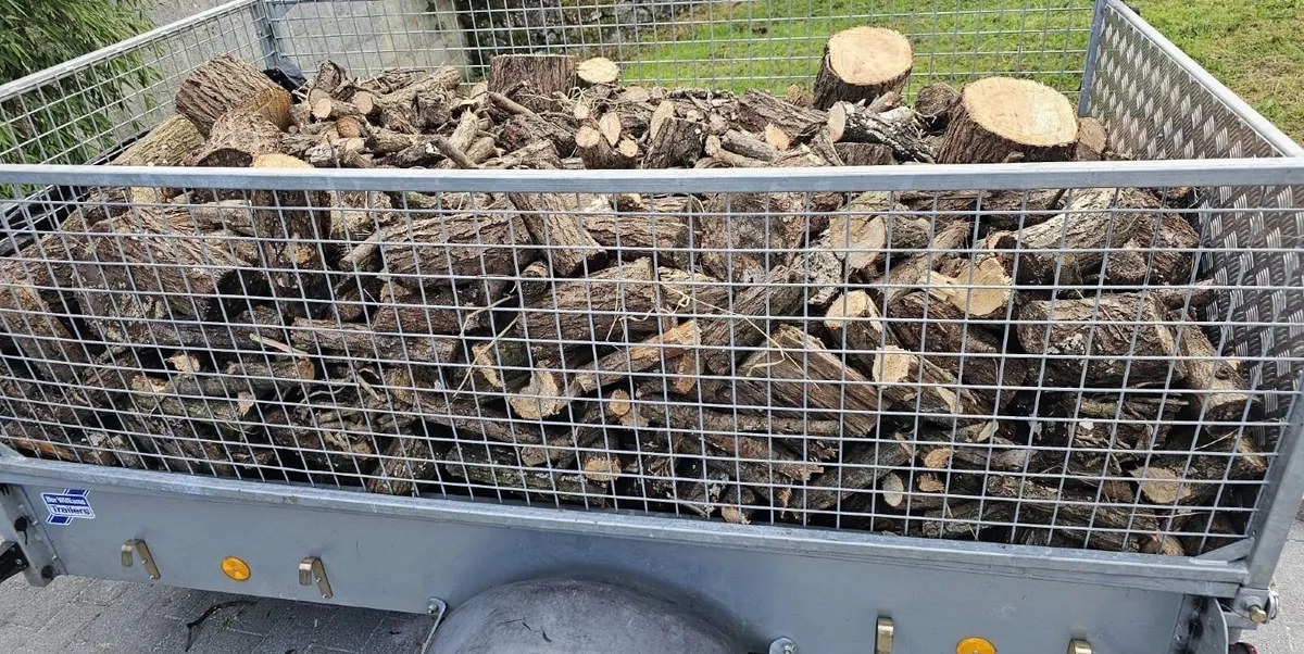 Firewood - Image 1