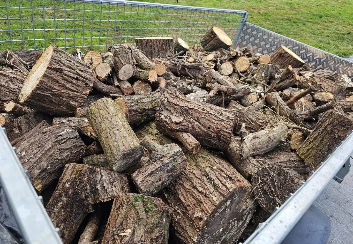 Firewood - Image 3