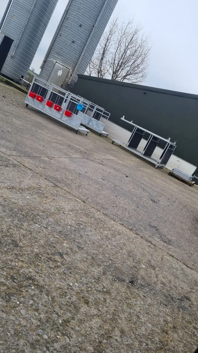 Calf pens - Image 4