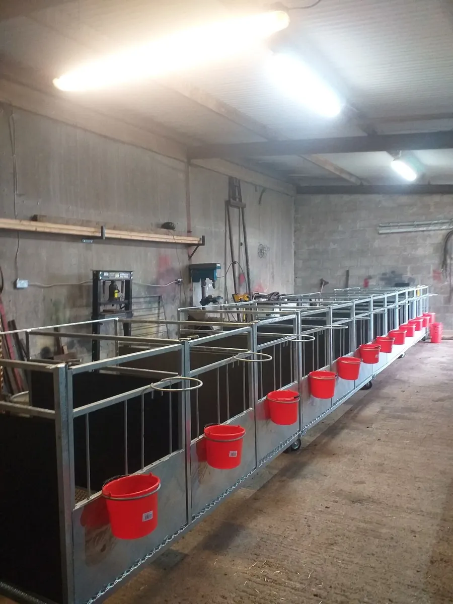 Calf pens - Image 1