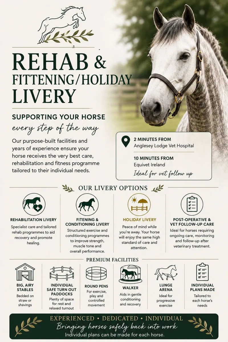 Rehab/fittening/Holiday livery