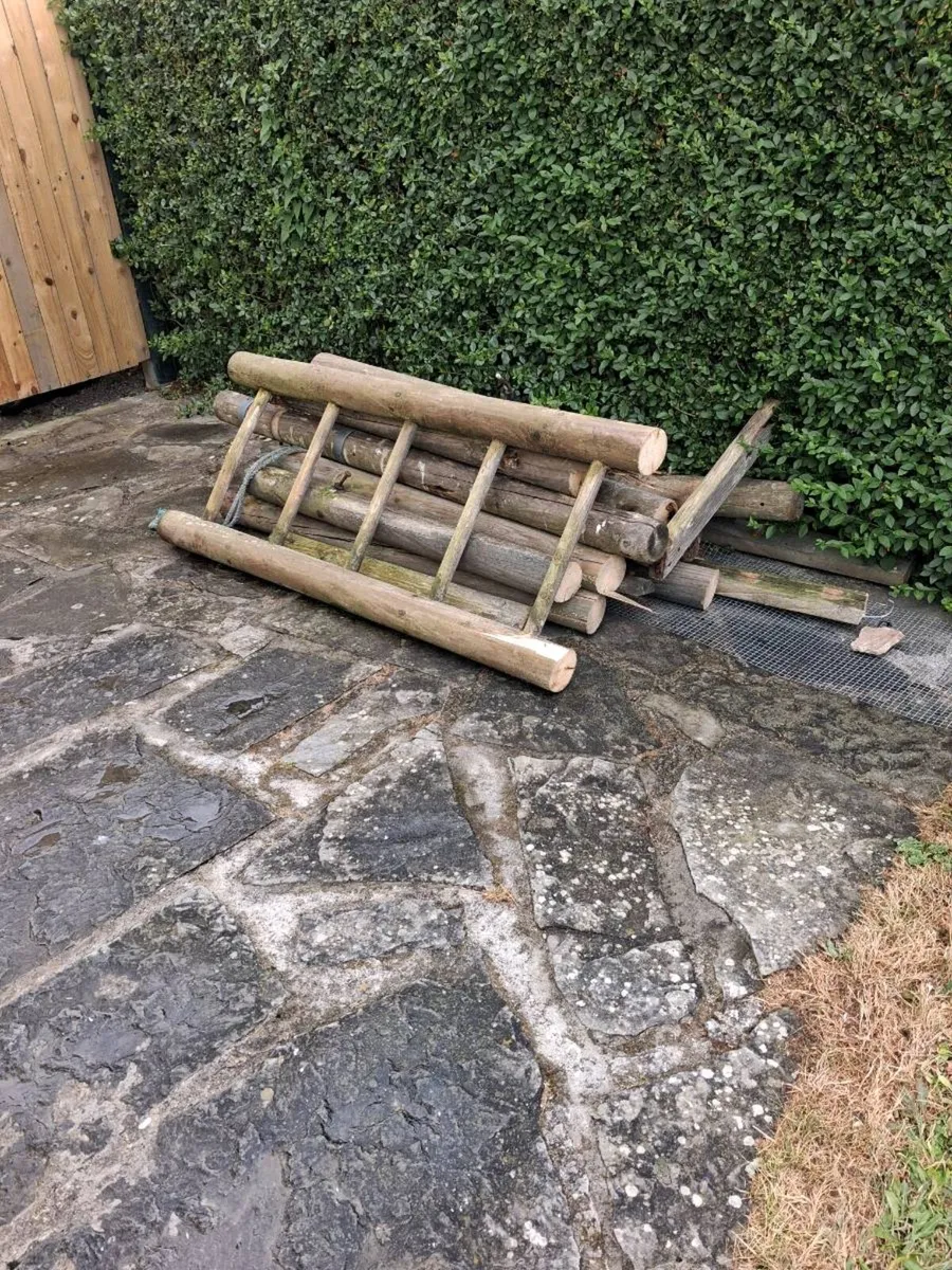 Free timber