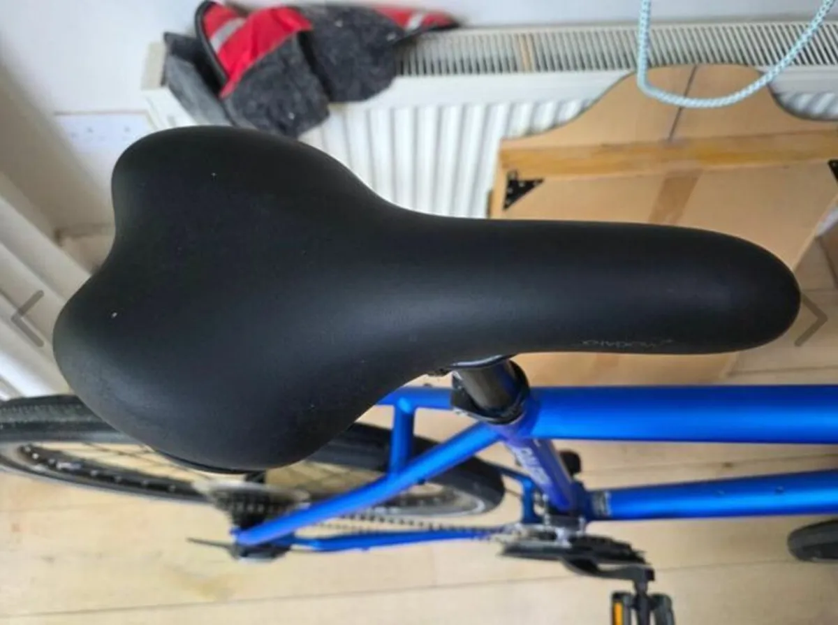 Raleigh Bike - Image 2
