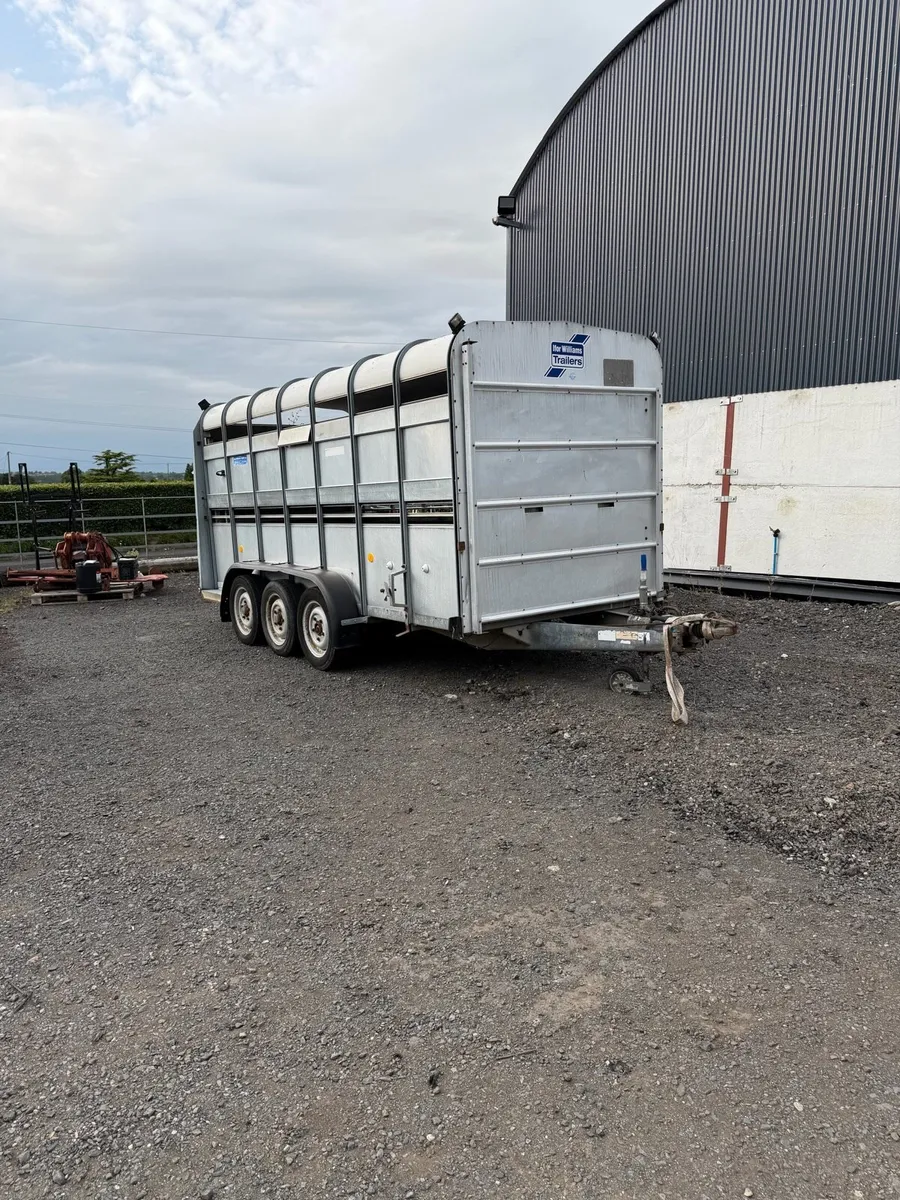 Ifor Williams 14x6 cattle trailer - Image 1