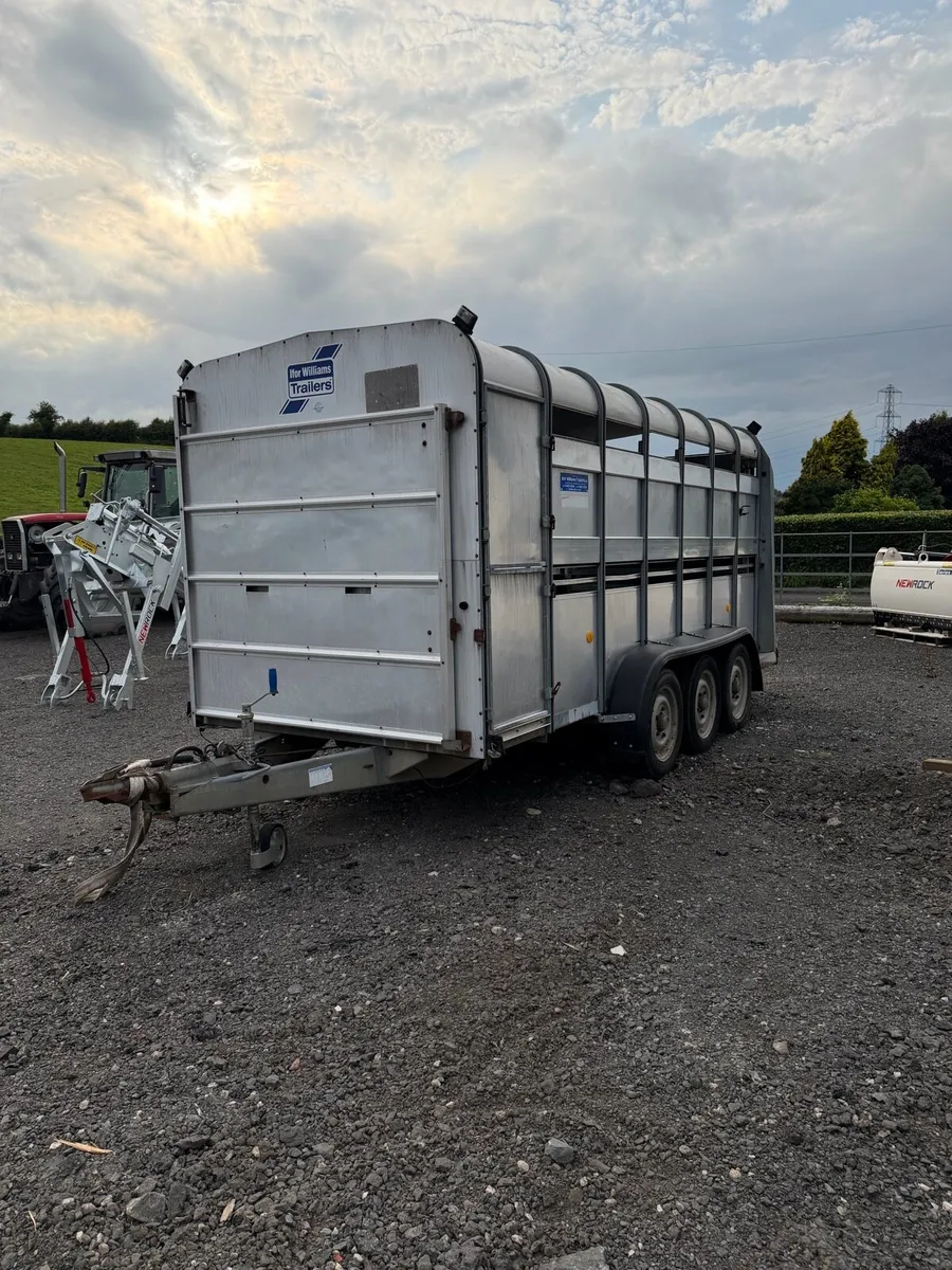 Ifor Williams 14x6 cattle trailer - Image 2