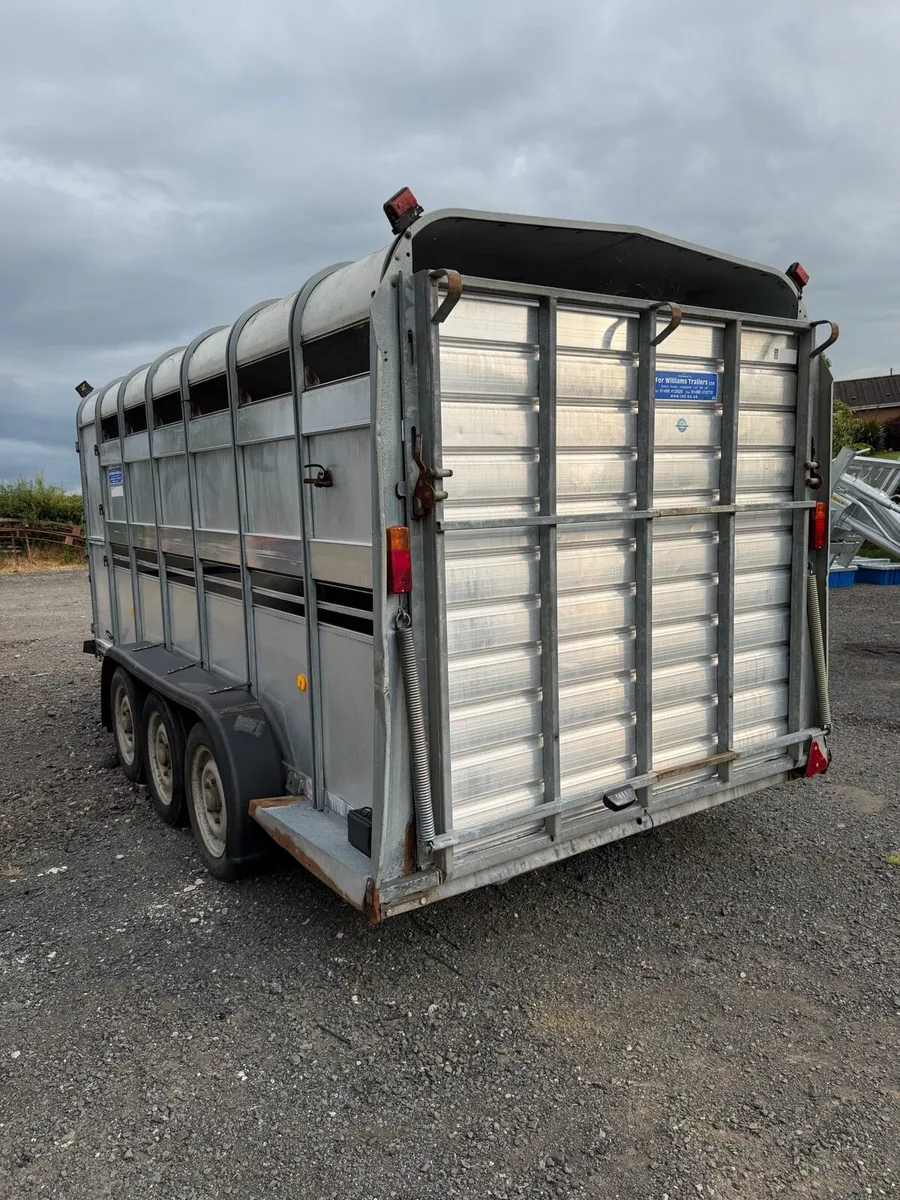 Ifor Williams 14x6 cattle trailer - Image 3