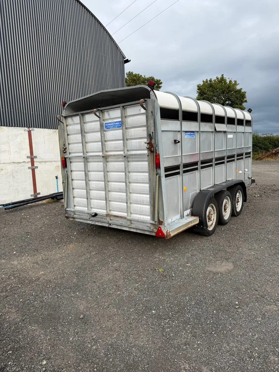 Ifor Williams 14x6 cattle trailer - Image 4
