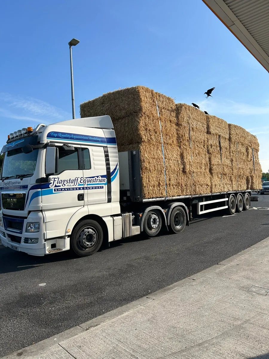 Straw for sale