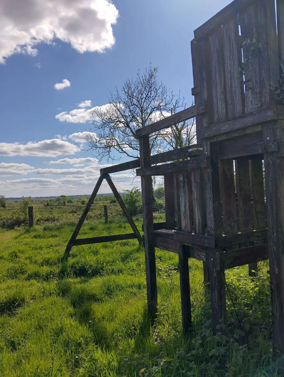 tree house frame - Image 1