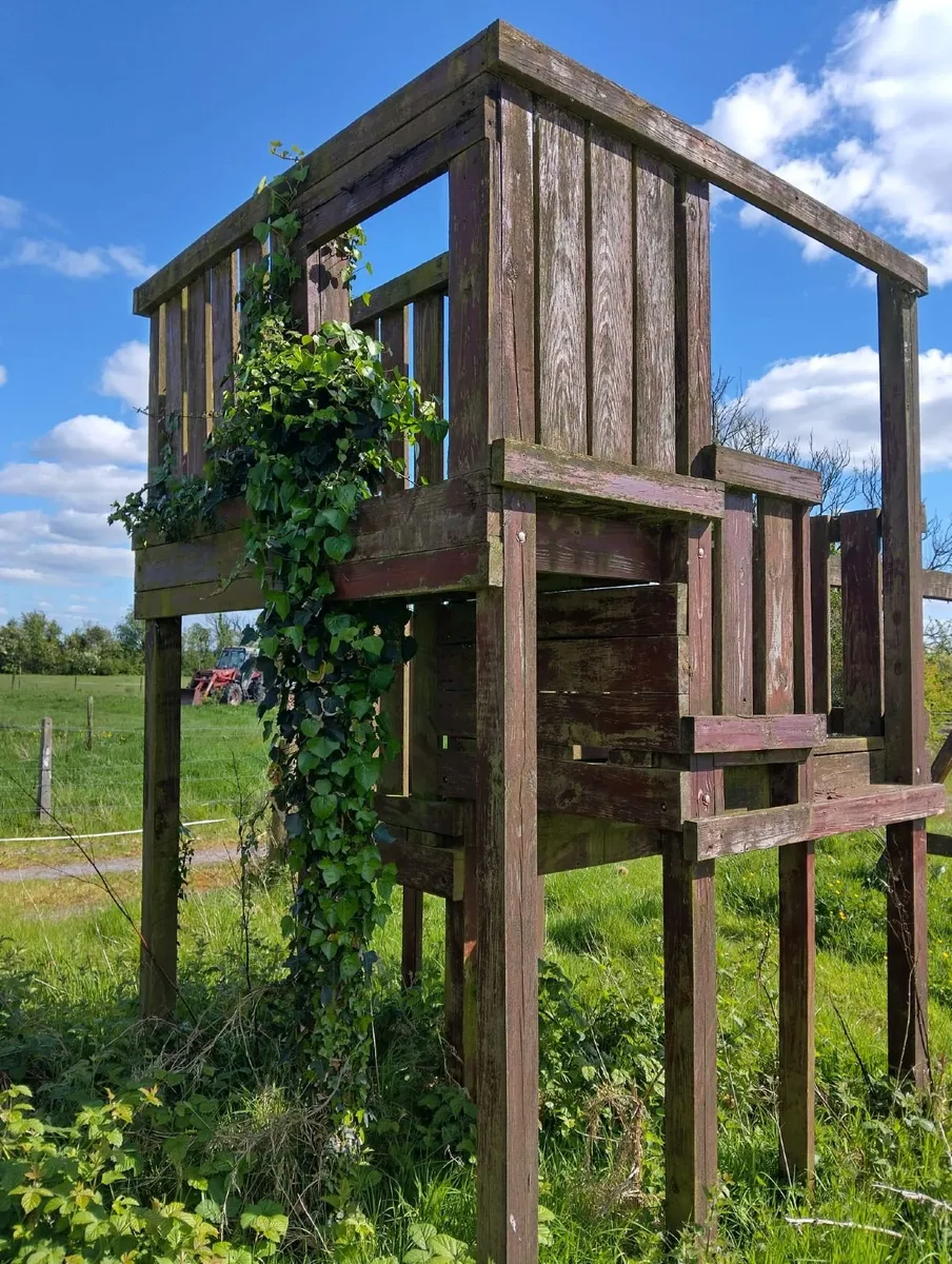 tree house frame - Image 3