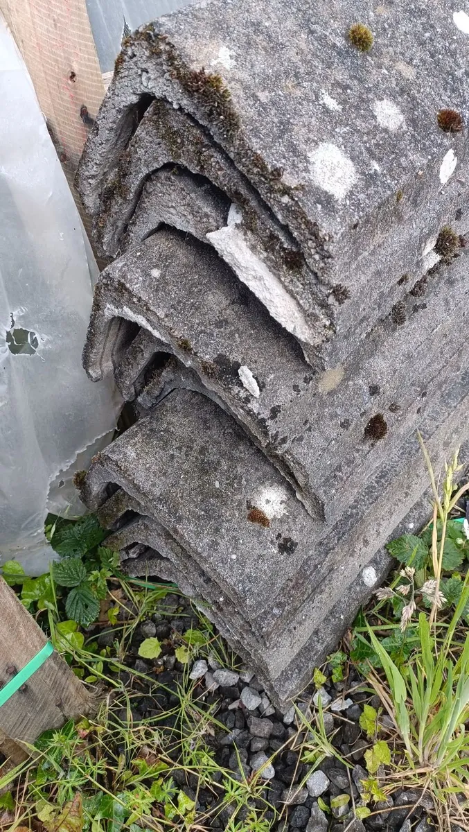 Ridge tiles free - Image 1