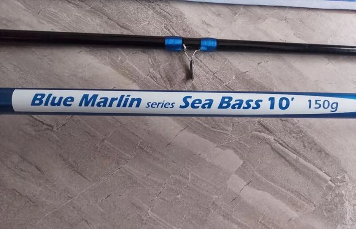 Fishing Spinning Sea bass/mackerel - Image 1
