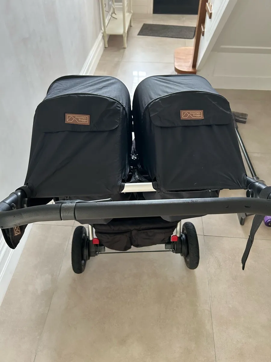 Buggy - Image 3