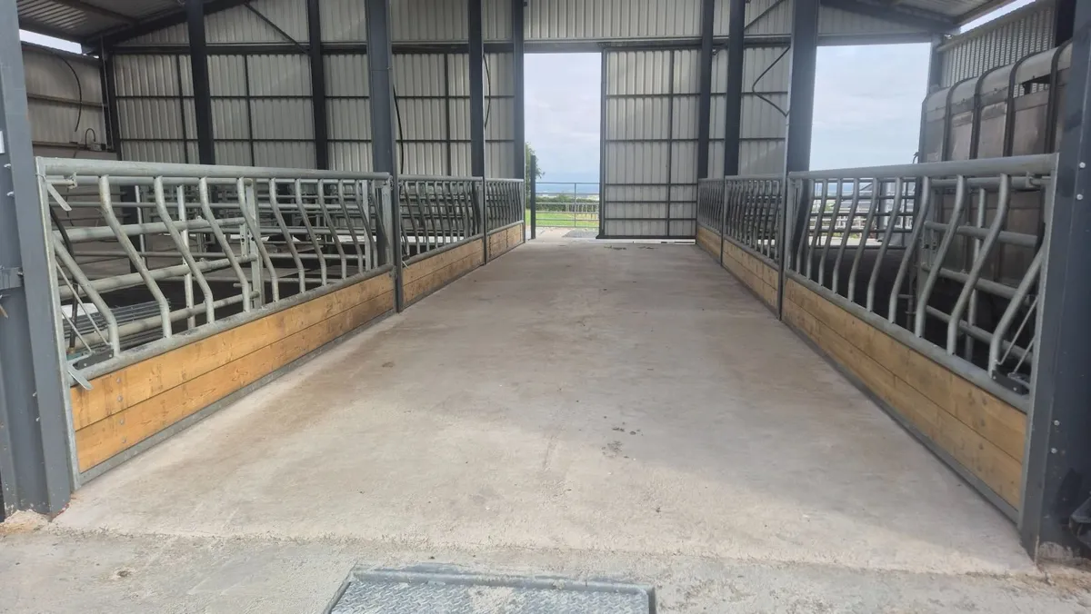 6  condon Feed barriors - Image 3