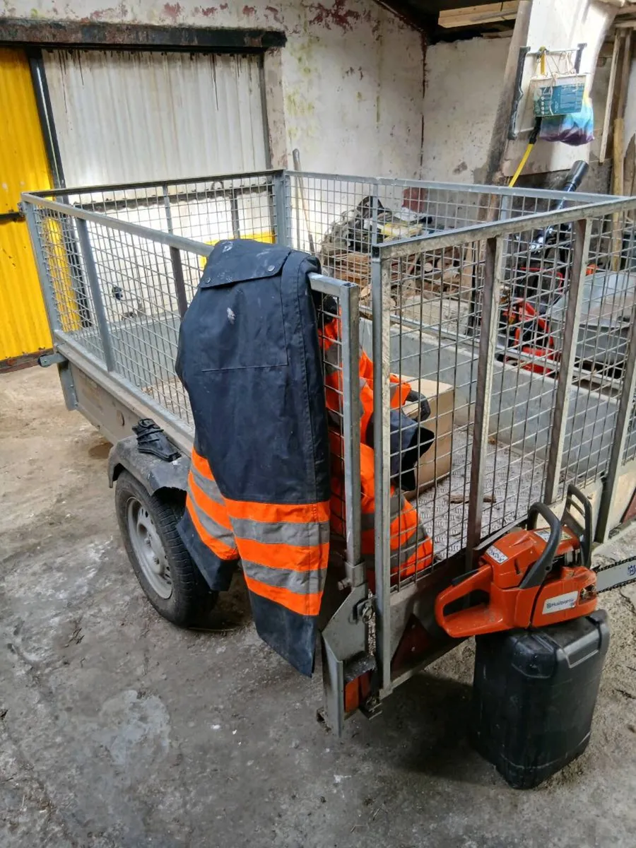 Trailer and 2 chainsaws - Image 4