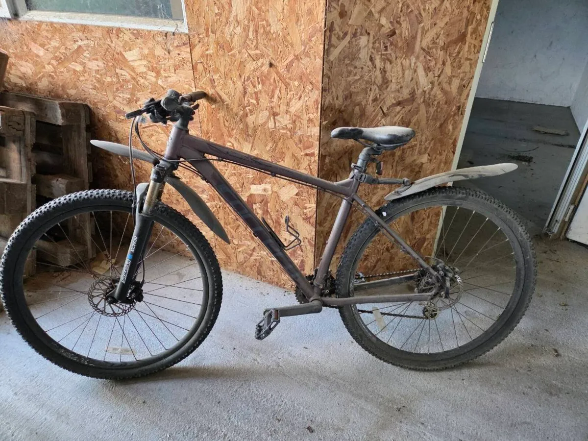 Bicycles - Image 2
