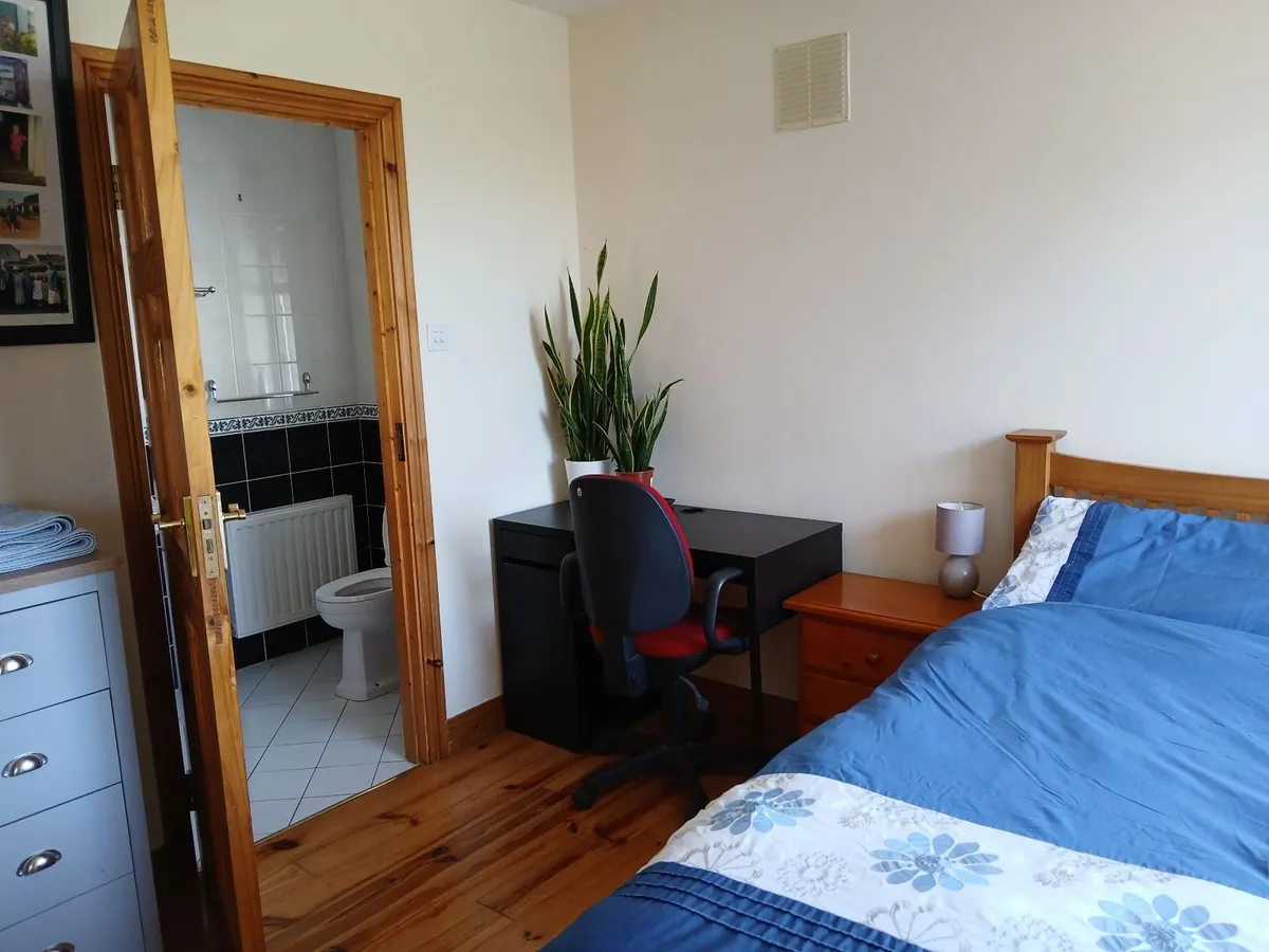 Tullamore Show Vendors Accommodation - Image 2