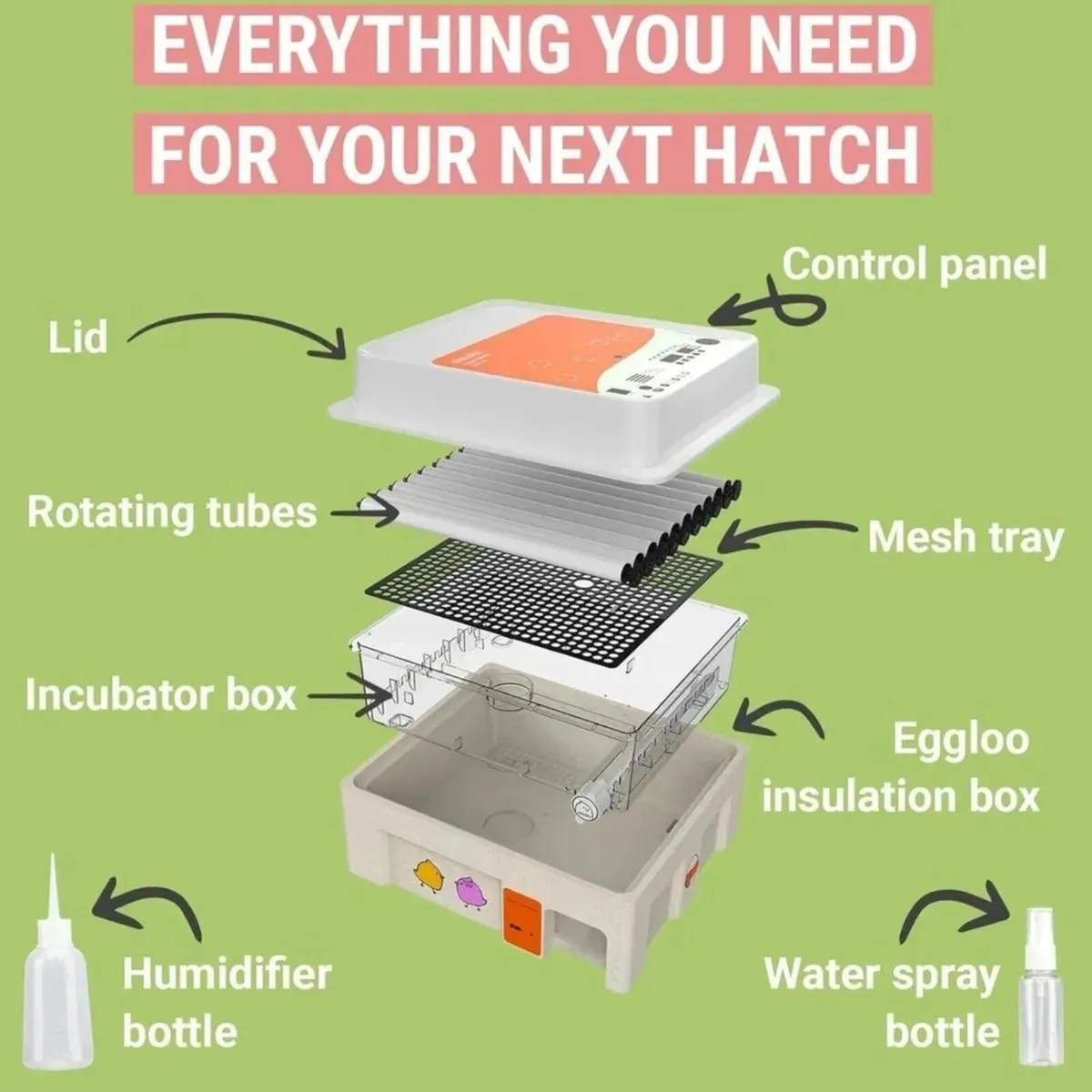 36 Egg Incubator with Auto Turner for Poultry - Image 3
