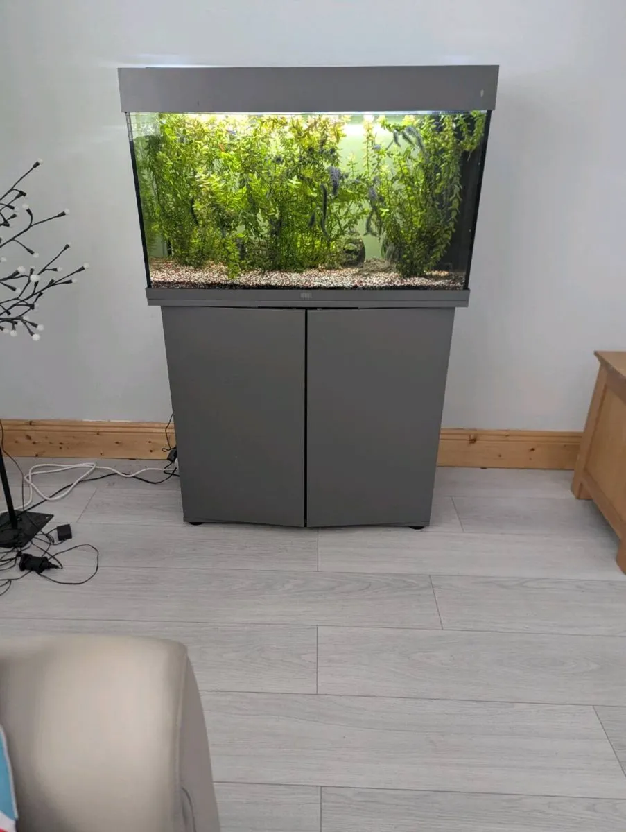 Tropical fish Aquarium 25L