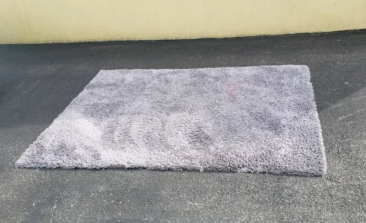 Livingroom Rug - Image 1