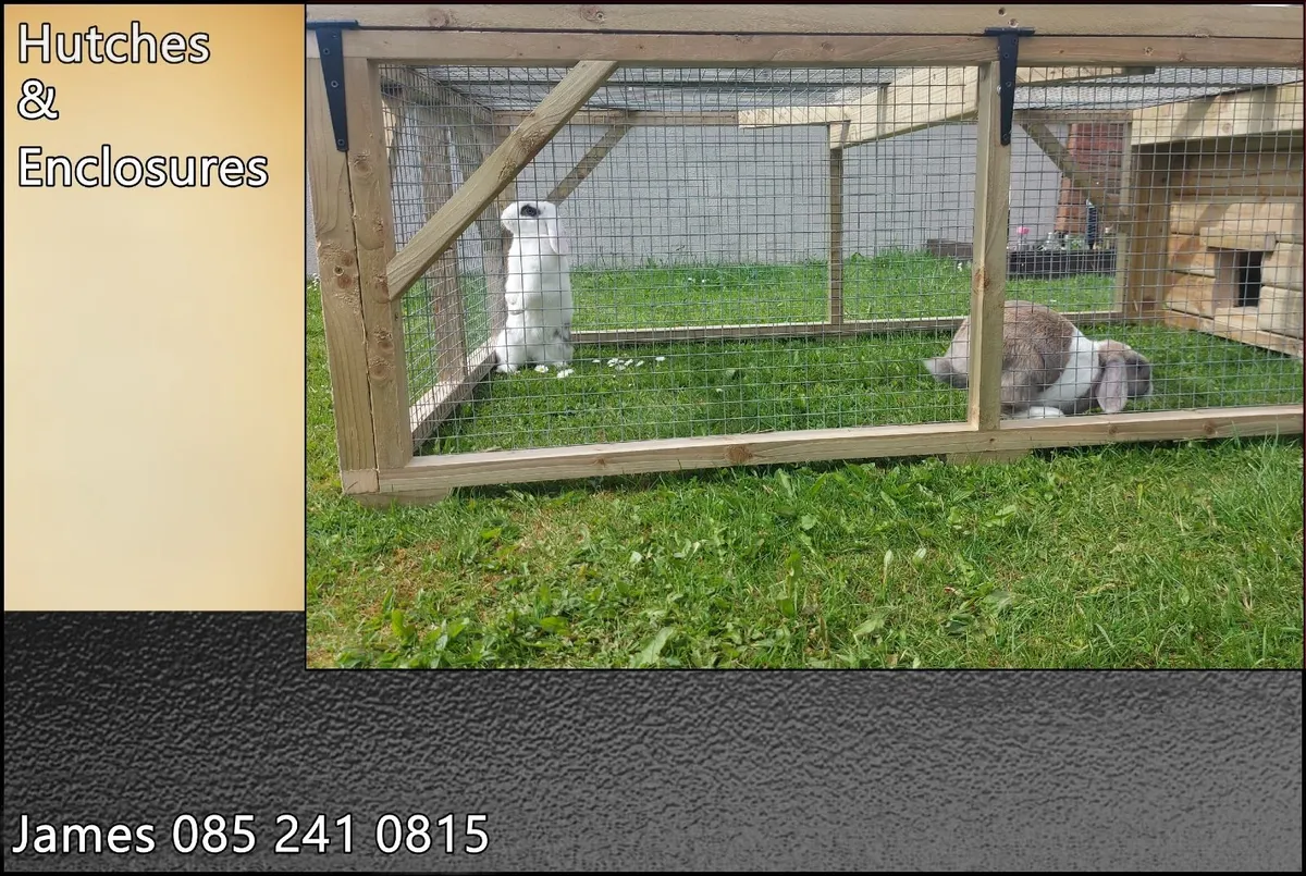 Rabbit Enclosure - Image 1