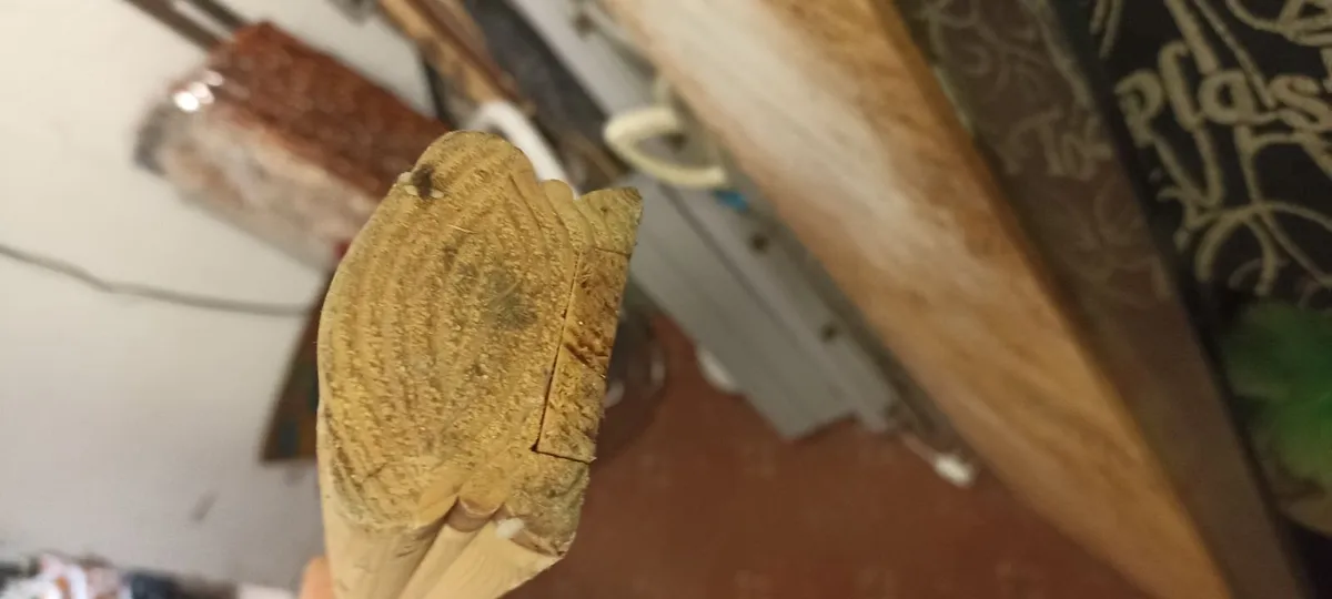 Pine (Loaf Shaped) Handrail - Image 3