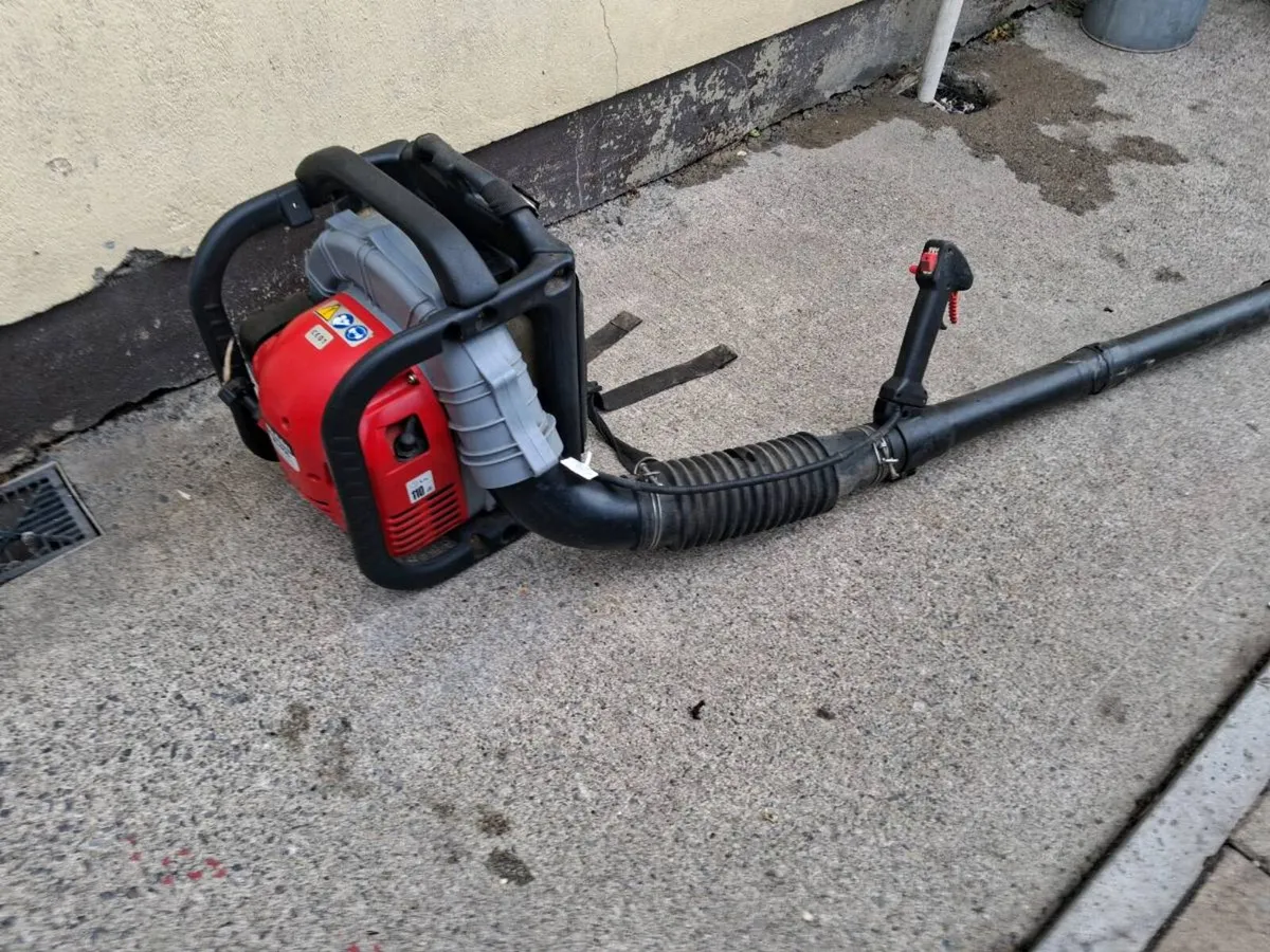 Robin backpack leafblower - Image 1