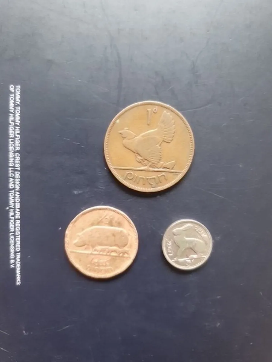 IRISH Old coins - Image 1