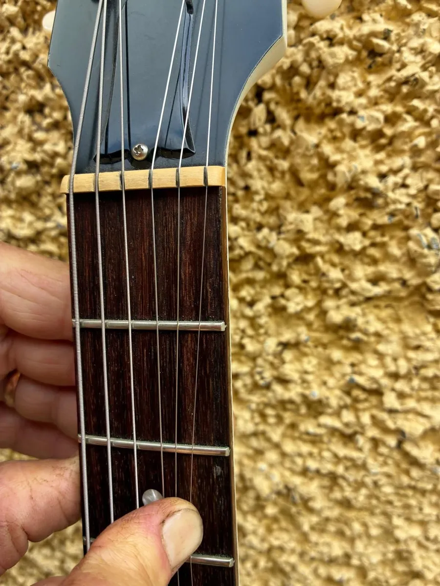 Gibson Les Paul Special Tribute (2019) - Image 2