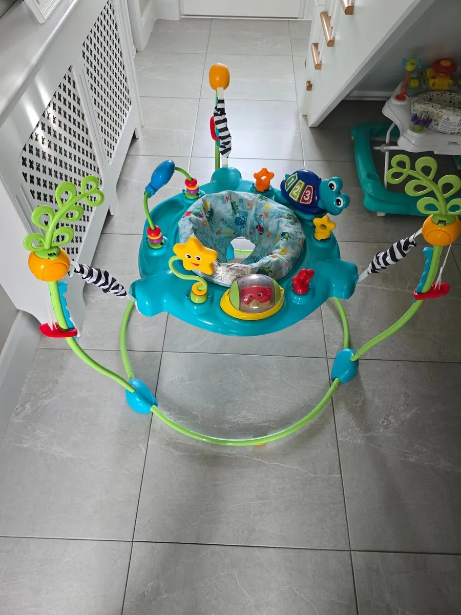 Baby Einstein Jumperoo - Image 1