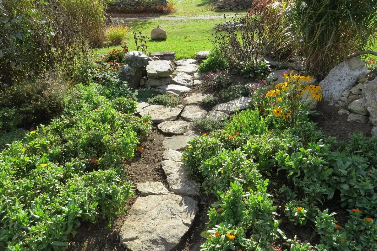 Garden and Landscaping services in Dublin & Louth - Image 2