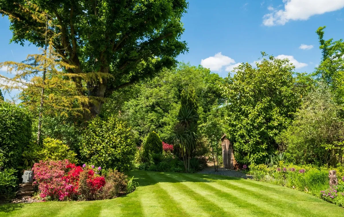 Garden and Landscaping services in Dublin & Louth - Image 3