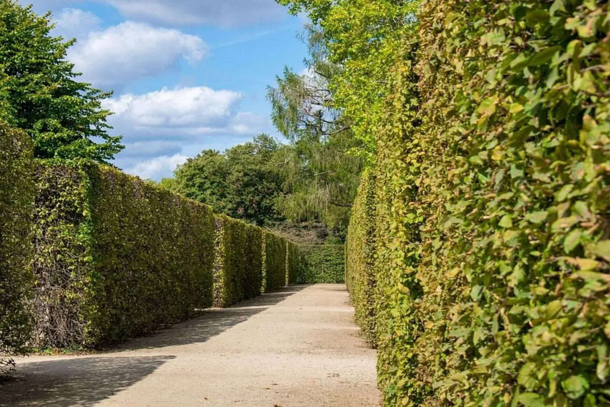 Garden and Landscaping services in Dublin & Louth - Image 4