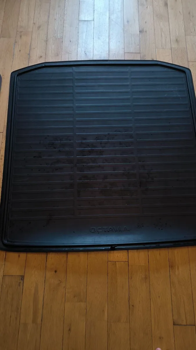 Boot mat - Image 1