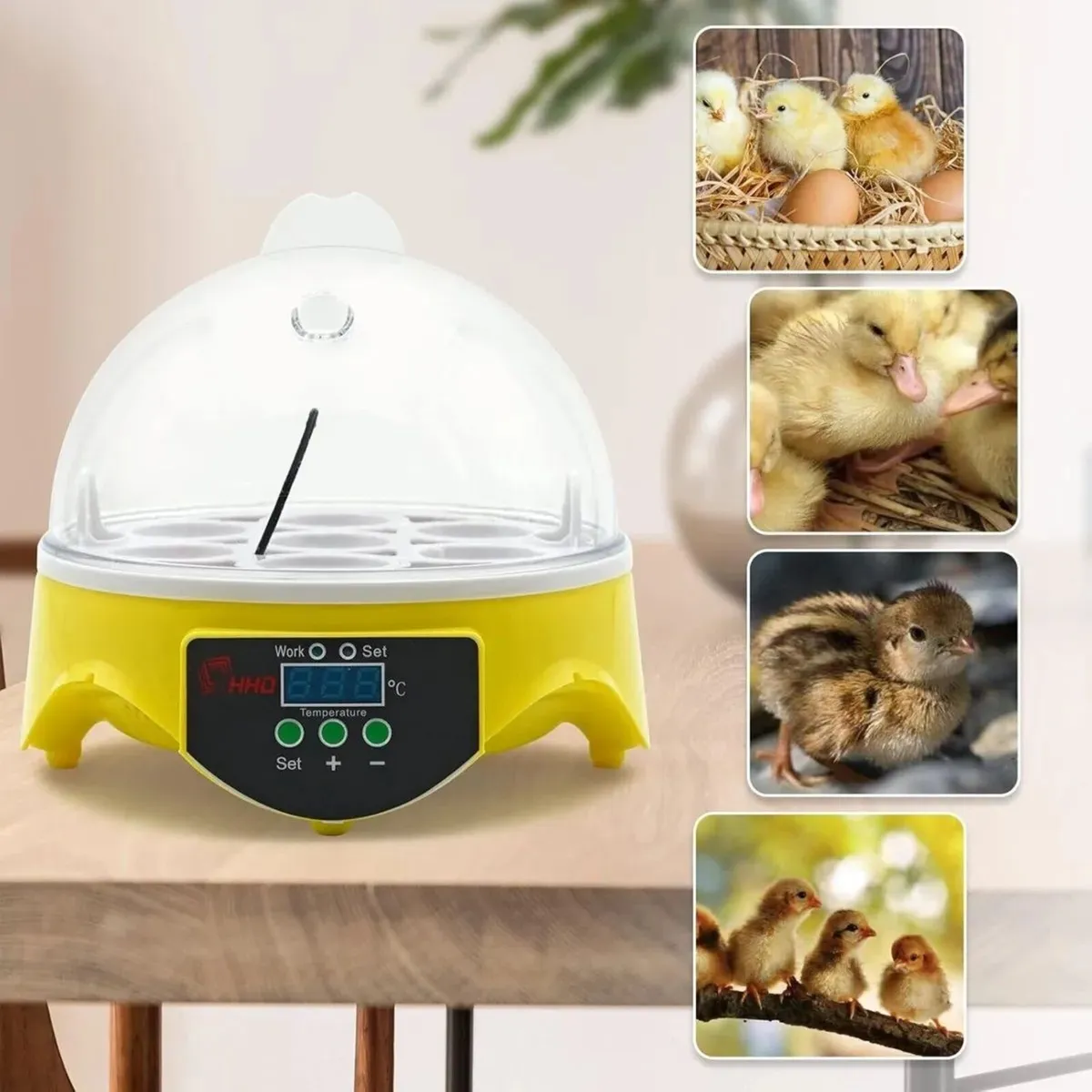 Egg Incubator Mini 7 Egg Fully Automatic - Image 3