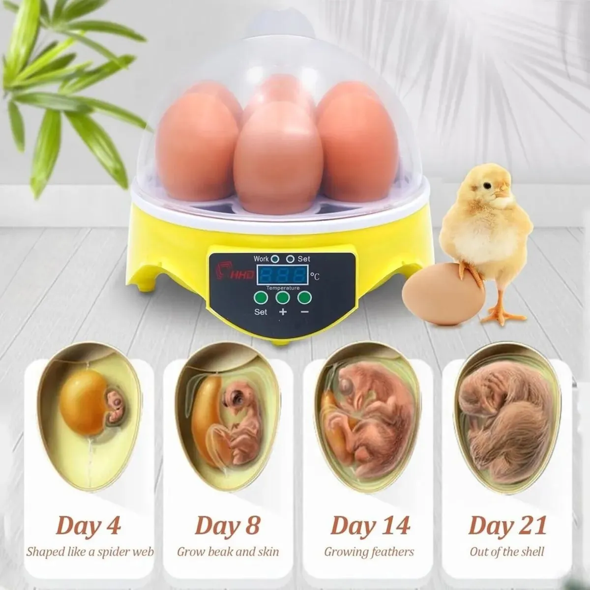 Egg Incubator Mini 7 Egg Fully Automatic - Image 4