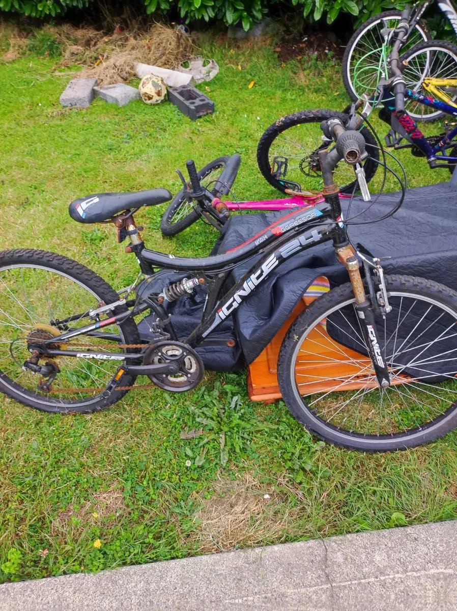 Bikes - Image 3