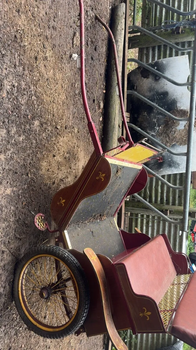 Road cart - Image 2