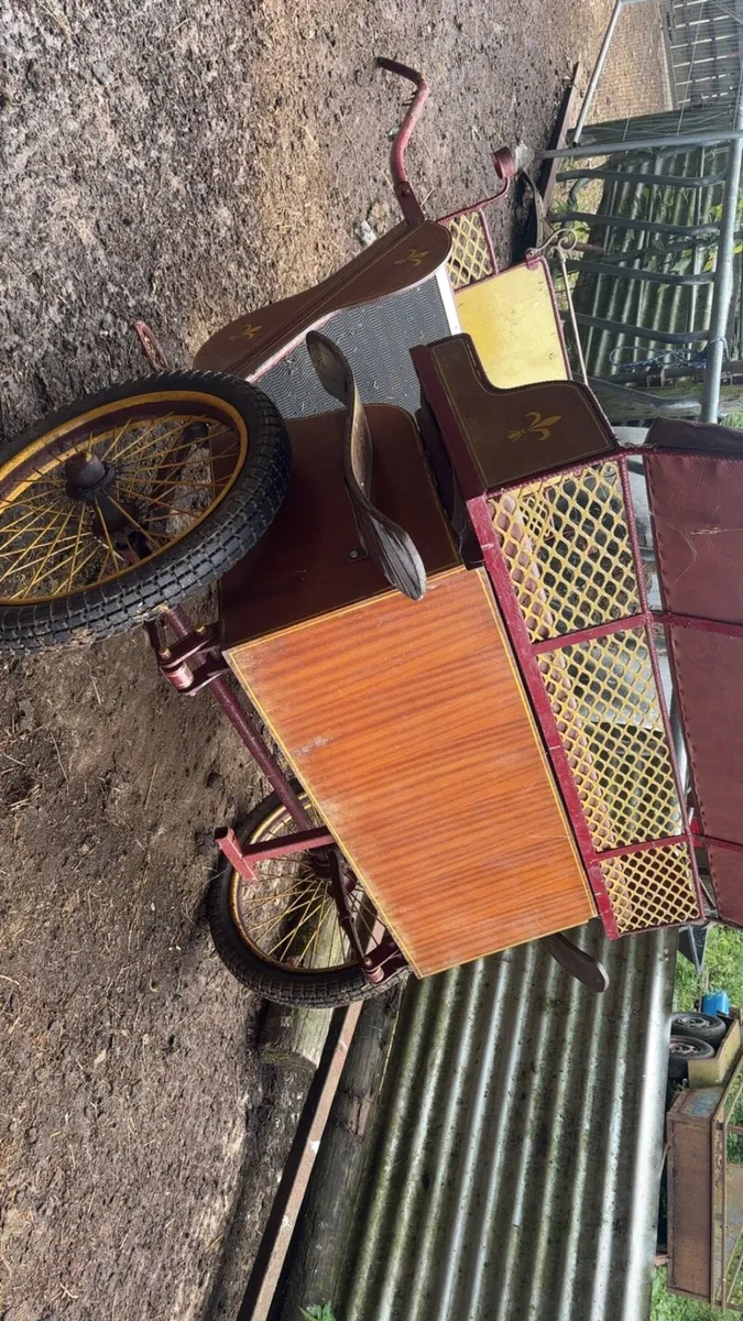 Road cart - Image 3