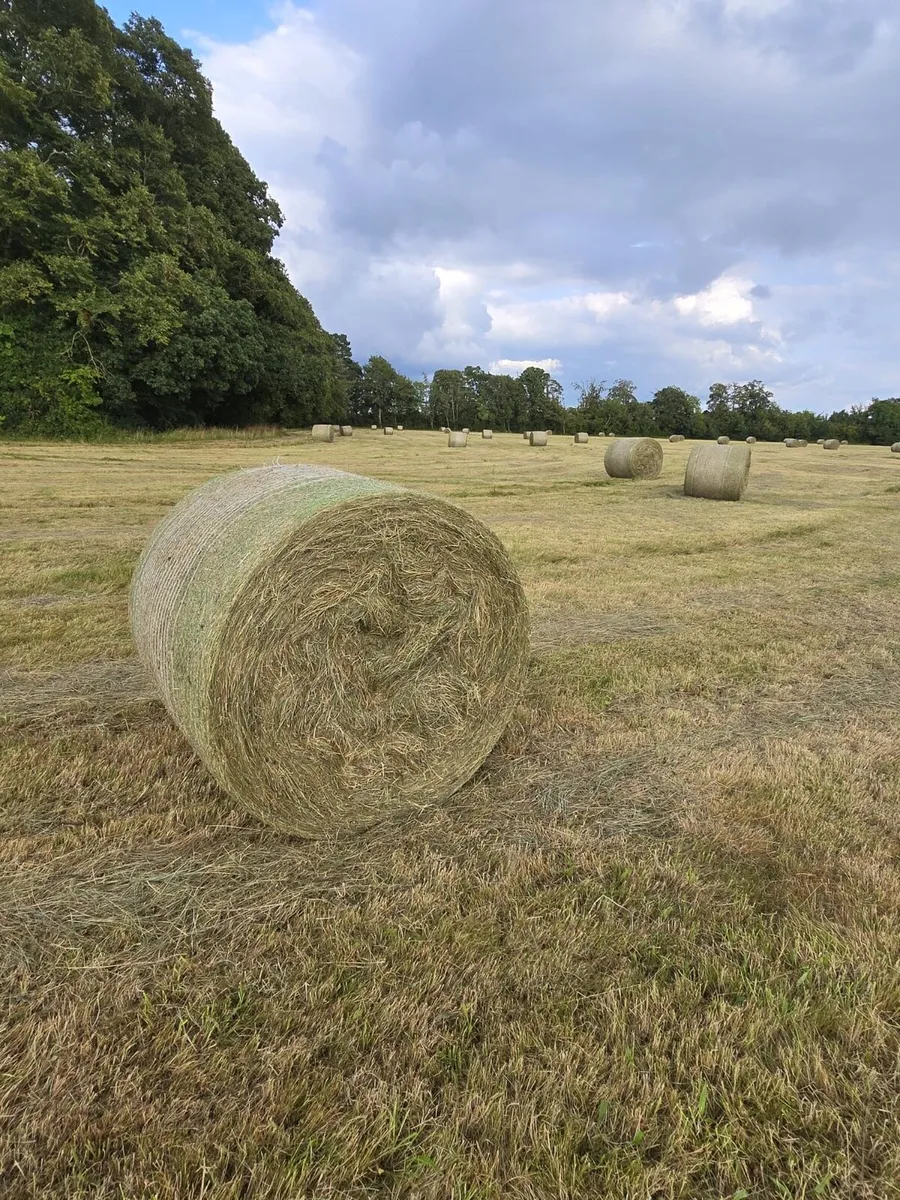 Hay for sale