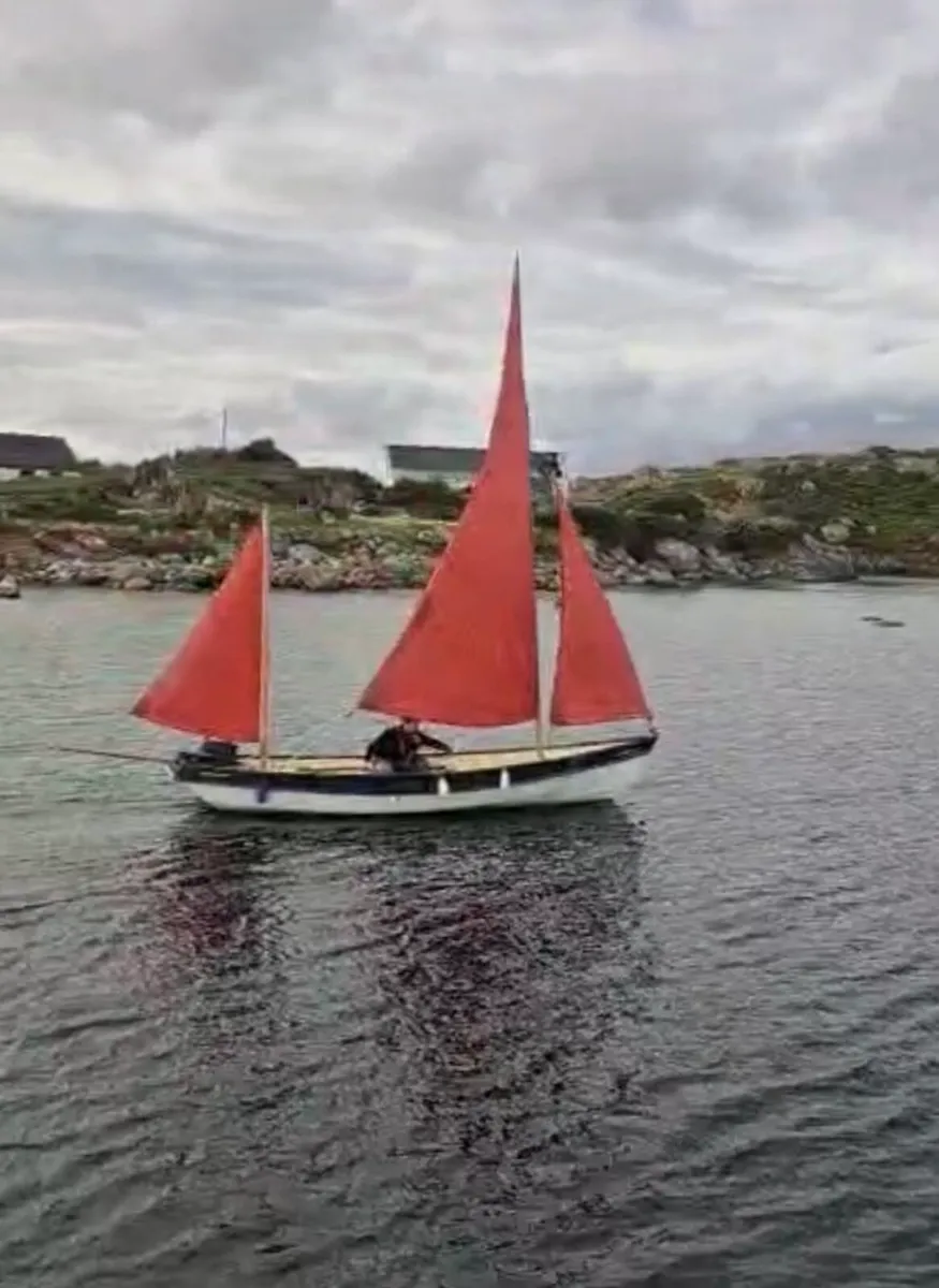 2003 Drascombe Lugger & 2026 Tohatsu 6hp - Image 2